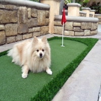 Artificial Grass Carpet Atlanta, Indiana Dog Run, Backyard