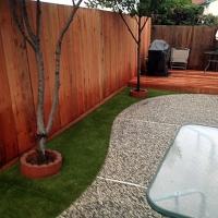 Artificial Grass Carpet Trafalgar, Indiana Dogs, Backyard Design