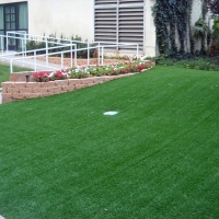 Artificial Grass French Lick, Indiana Landscape Ideas, Front Yard Landscaping Ideas