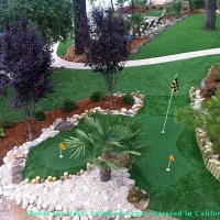 Artificial Lawn Indianapolis, Indiana Putting Green Grass, Backyard Landscape Ideas