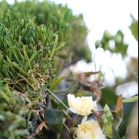 U Blade-60 U Blade-60