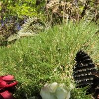 Synthetic grass black backing green field olive brown thatching artificial turf for playgrounds lawns landscape decks patios Synthetic grass black backing green field olive brown thatching artificial turf for playgrounds lawns landscape decks patios