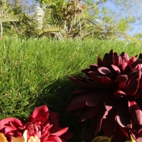 Artificial grass synthetic plants blue sky beautiful lawn landscape turf no water maintenance garden landscaping services Artificial grass synthetic plants blue sky beautiful lawn landscape turf no water maintenance garden landscaping services