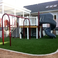 Synthetic Grass Cost Eaton, Indiana Lawn And Garden, Backyard Ideas