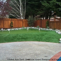 Synthetic Turf Supplier Avon, Indiana Garden Ideas, Beautiful Backyards