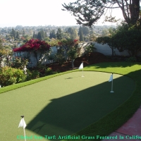 Synthetic Turf Supplier Cumberland, Indiana Landscaping, Backyard Ideas