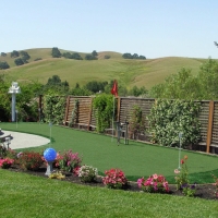 Synthetic Turf Supplier Galena, Indiana Putting Green Carpet, Backyard Designs