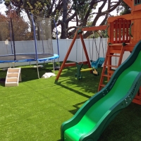 Synthetic Turf Supplier Mooresville, Indiana Design Ideas, Backyard Designs