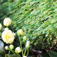 U Shape Blade Synthetic Grass 60 oz. U Shape Blade Synthetic Grass 60 oz.