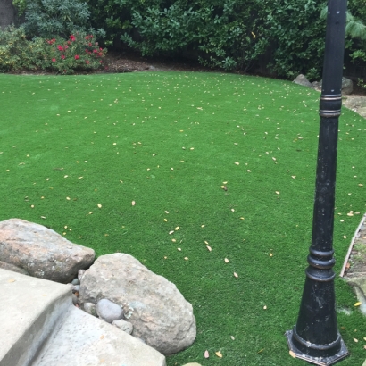 Artificial Grass Carpet Gosport, Indiana Landscaping, Backyard Ideas
