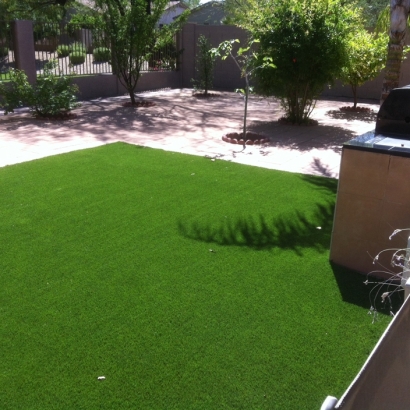 Artificial Grass Installation Clarks Hill, Indiana Dog Hospital, Small Backyard Ideas