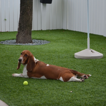 Artificial Grass Installation Country Squire Lakes, Indiana Dog Parks, Dogs