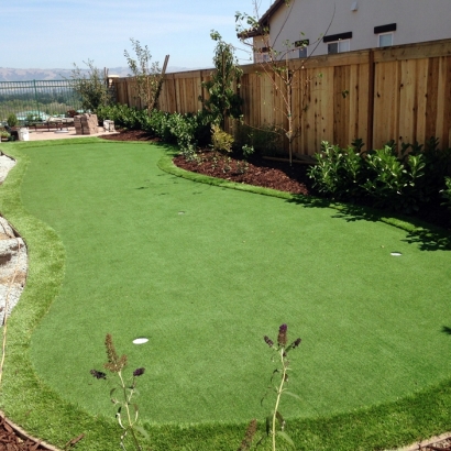 Artificial Lawn Avon, Indiana Putting Green, Backyard Garden Ideas