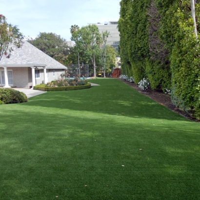 Artificial Lawn Ferdinand, Indiana Roof Top, Small Front Yard Landscaping