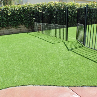 Artificial Lawn Mooresville, Indiana Pictures Of Dogs, Front Yard Ideas
