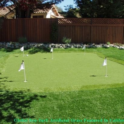 Artificial Turf Cost Clermont, Indiana Rooftop, Backyard Garden Ideas
