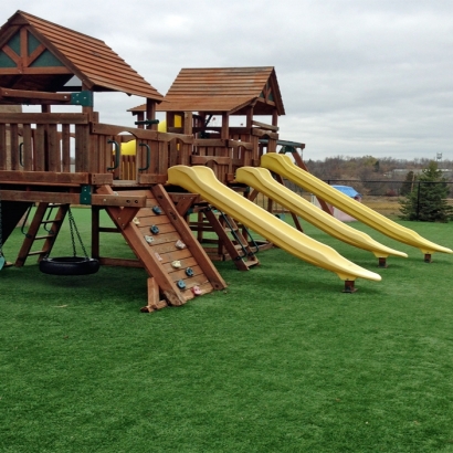 Artificial Turf Cost McCordsville, Indiana Indoor Playground, Commercial Landscape