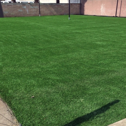 Artificial Turf Installation Vincennes, Indiana Eco Friendly Products