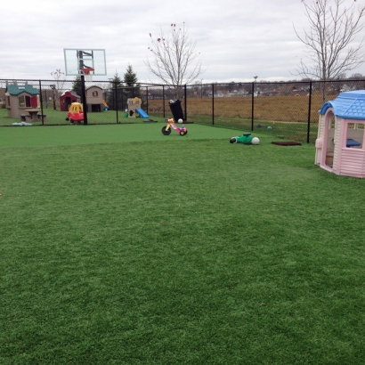 Artificial Turf Installation West College Corner, Indiana Landscaping, Commercial Landscape
