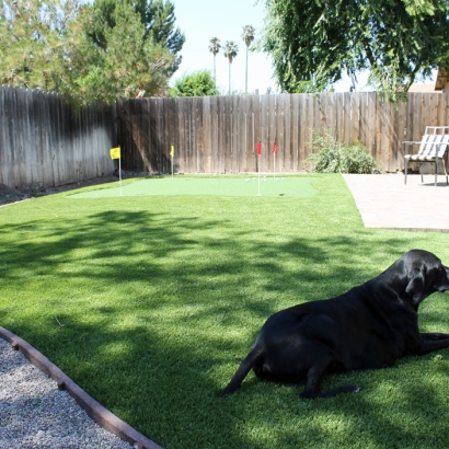 Best Artificial Grass Elwood, Indiana Pictures Of Dogs, Dog Kennels