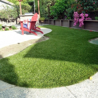 Best Artificial Grass Milroy, Indiana Landscape Ideas, Backyard Ideas