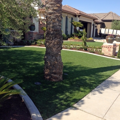 Best Artificial Grass Swayzee, Indiana Lawns, Front Yard Ideas