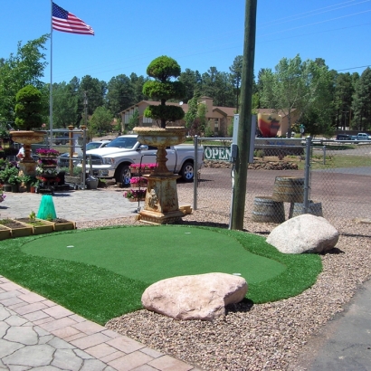 Fake Grass Carpet Bright, Indiana Outdoor Putting Green, Commercial Landscape
