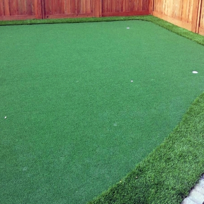 Fake Grass Carpet Carlisle, Indiana Landscape Ideas, Small Backyard Ideas