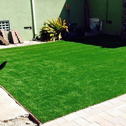 Fake Grass Carpet Pittsboro, Indiana Lawn And Landscape, Backyard Landscaping Ideas