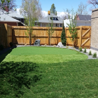 Fake Grass Muncie, Indiana Office Putting Green, Backyard Design
