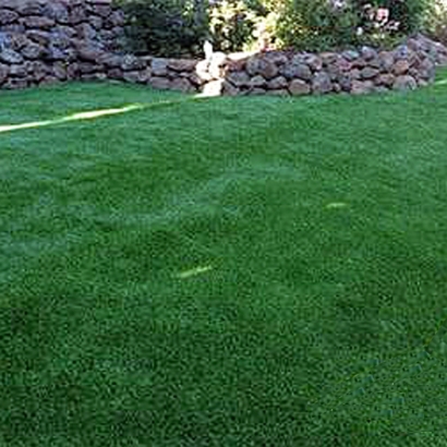 Fake Grass Plymouth, Indiana Gardeners, Backyard Designs