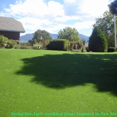 Fake Lawn Southport, Indiana Artificial Grass For Dogs, Backyard Landscape Ideas