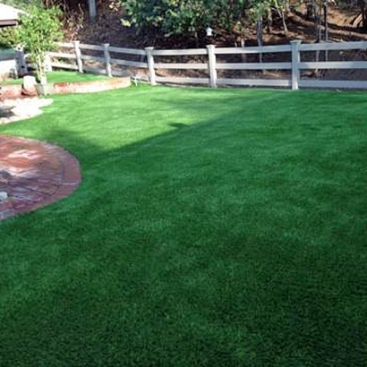 Grass Carpet Goodland, Indiana Grass For Dogs, Backyard Designs