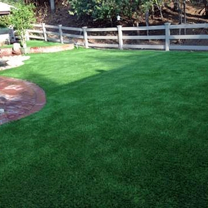 Grass Carpet Goodland, Indiana Grass For Dogs, Backyard Designs