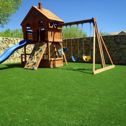 Grass Carpet Oak Park, Indiana Garden Ideas, Backyard