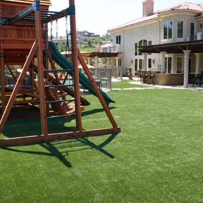 Grass Carpet Waynetown, Indiana Kids Indoor Playground, Backyard Design
