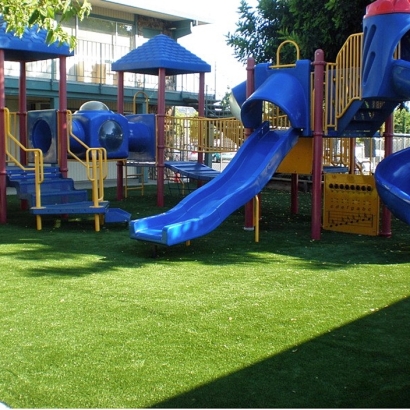 Outdoor Carpet Shelbyville, Indiana Lawn And Garden, Commercial Landscape