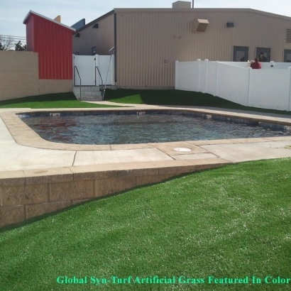 Plastic Grass Carmel, Indiana Gardeners, Pool Designs