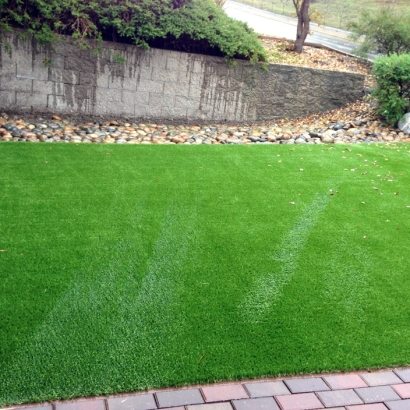 Plastic Grass Oolitic, Indiana Grass For Dogs, Backyard Landscaping Ideas