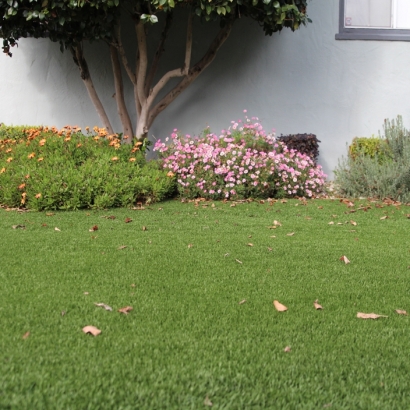 Synthetic Grass Cost Cloverdale, Indiana Backyard Playground, Landscaping Ideas For Front Yard