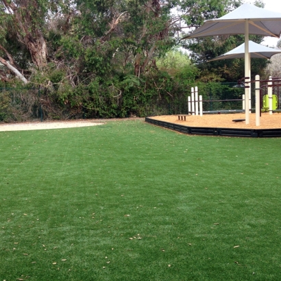 Synthetic Grass Cost Kouts, Indiana Playground Turf