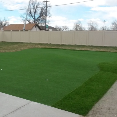 Synthetic Grass Cost Mulberry, Indiana Putting Green Flags, Backyard Ideas