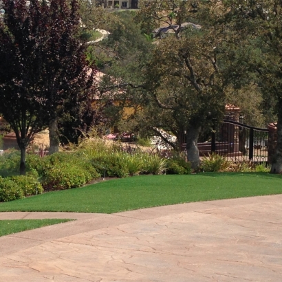 Synthetic Grass Saint Paul, Indiana Gardeners, Backyard Landscaping Ideas