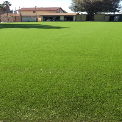 Synthetic Turf Supplier Andrews, Indiana Sports Turf, Recreational Areas
