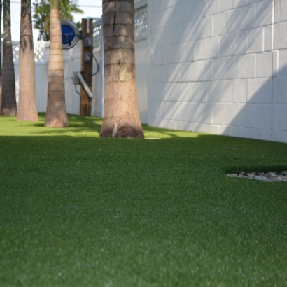 Synthetic Turf Supplier Burlington, Indiana Lawn And Garden, Commercial Landscape