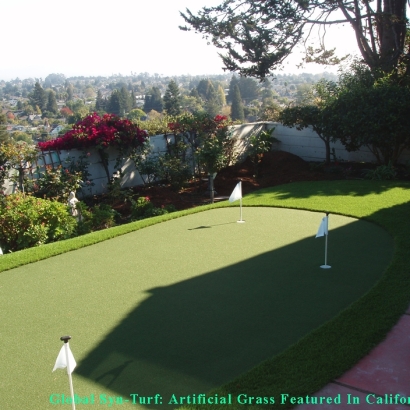 Synthetic Turf Supplier Cumberland, Indiana Landscaping, Backyard Ideas