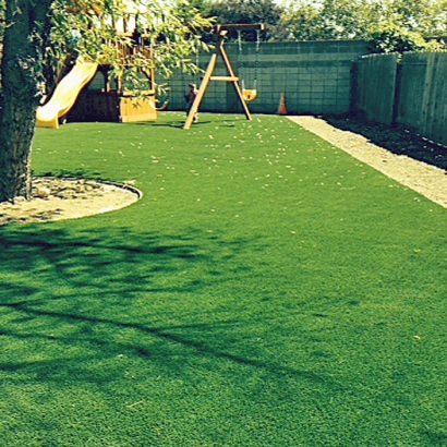Synthetic Turf Supplier New Haven, Indiana Rooftop, Backyard Ideas