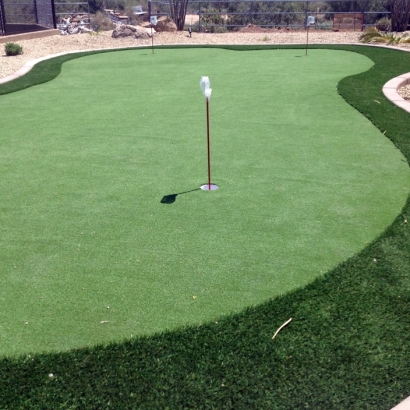 Synthetic Turf Supplier Tipton, Indiana Home Putting Green, Backyard Designs