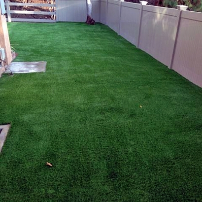 Turf Grass Bass Lake, Indiana Artificial Grass For Dogs, Backyard Makeover