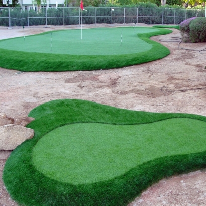 Turf Grass New Salisbury, Indiana How To Build A Putting Green, Front Yard Ideas